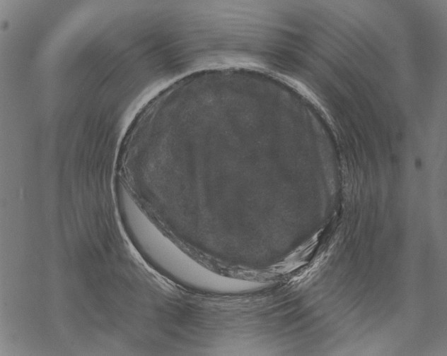 X0000068890943200605261842