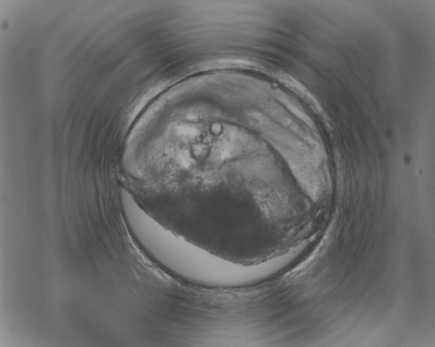 X0000068890945200605261842