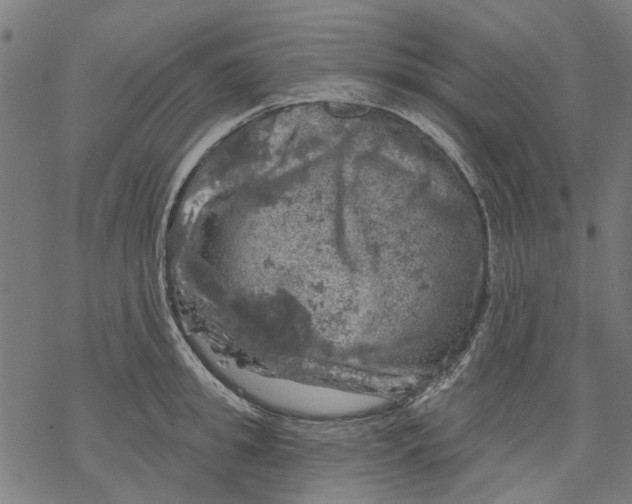 X0000068890949200605261842