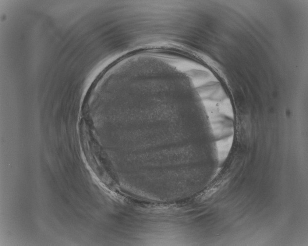 X0000068890951200605261842