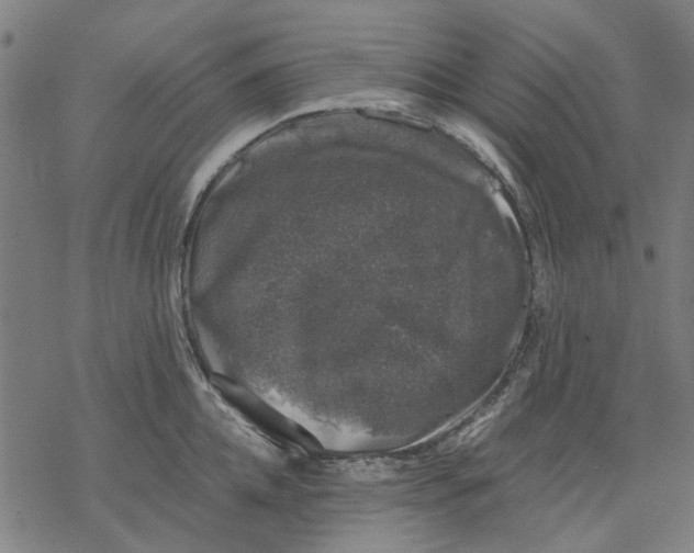 X0000068890952200605261842