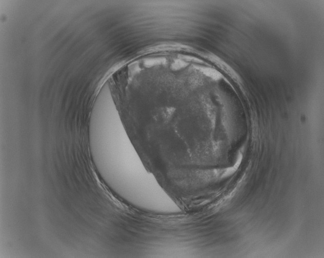 X0000068890953200605261842