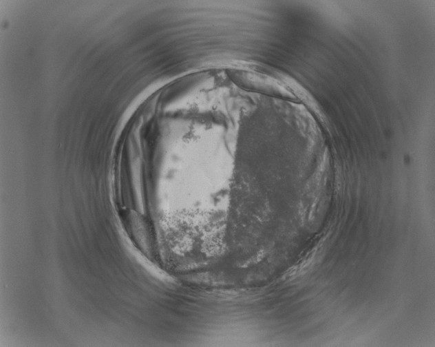 X0000068890955200605261842