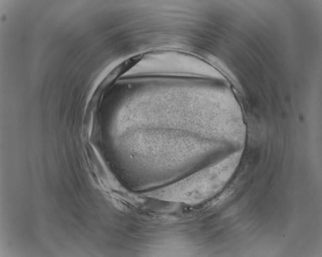 X0000068890956200605261842