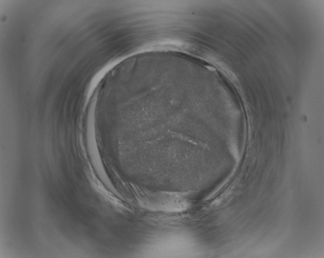 X0000068890960200605261842