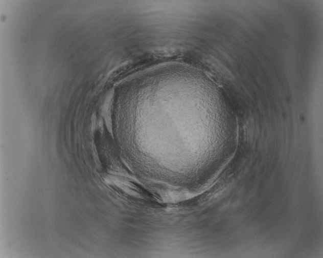 X0000068890961200605261842