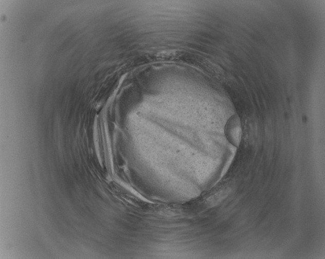 X0000068890962200605261842