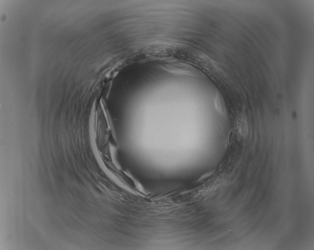 X0000068890964200605261842