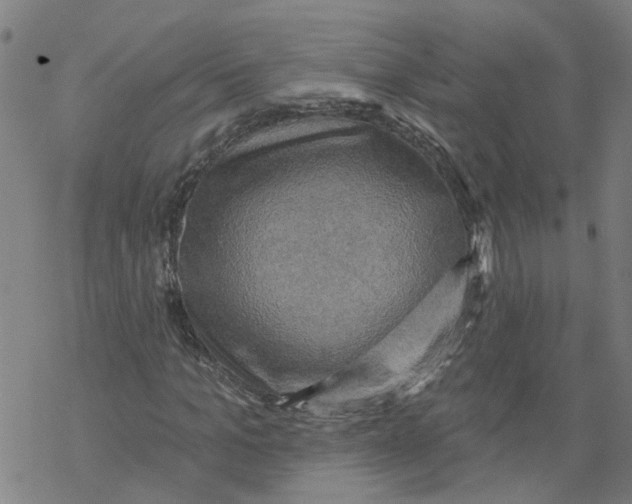 X0000068890965200605261842