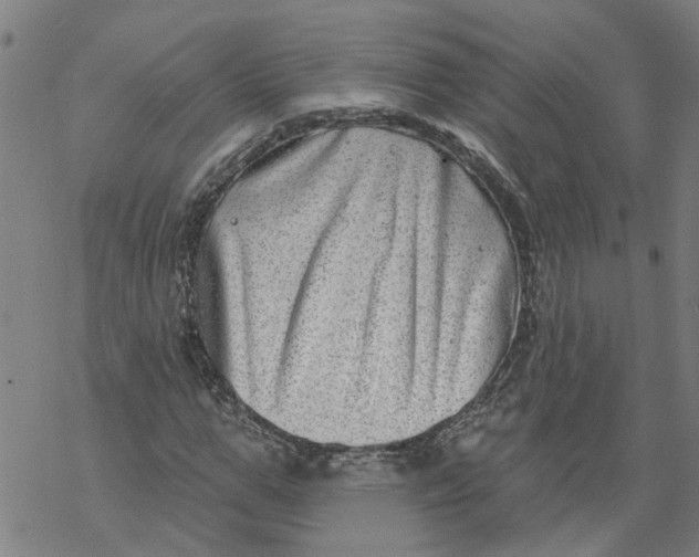 X0000068890967200605261842