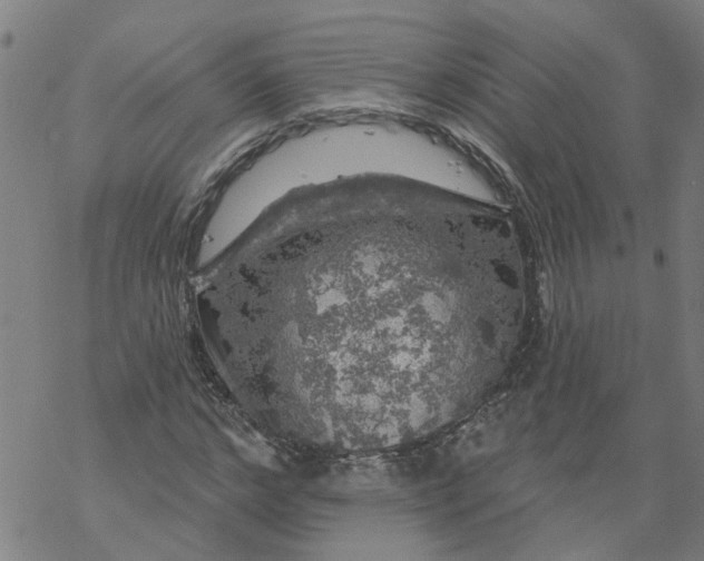 X0000068890968200605261842