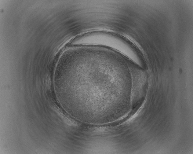 X0000068890969200605261842