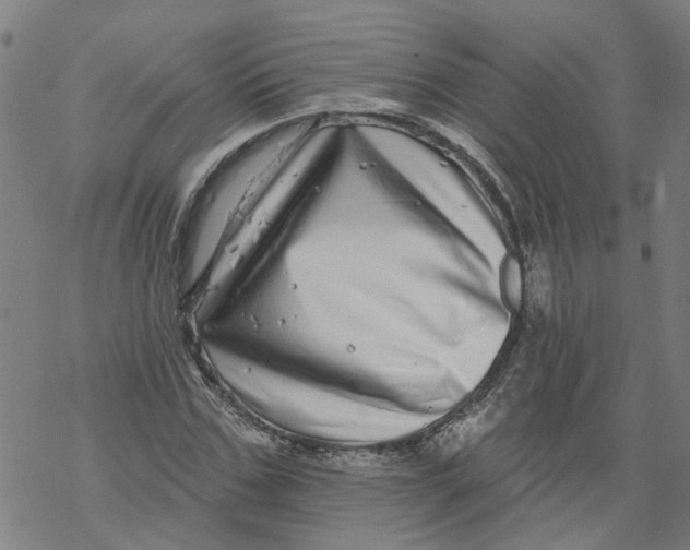 X0000068890971200605261842