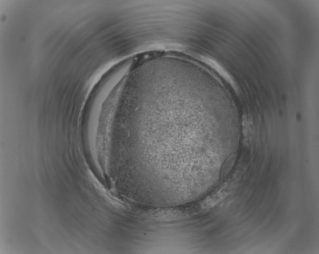 X0000068890972200605261841