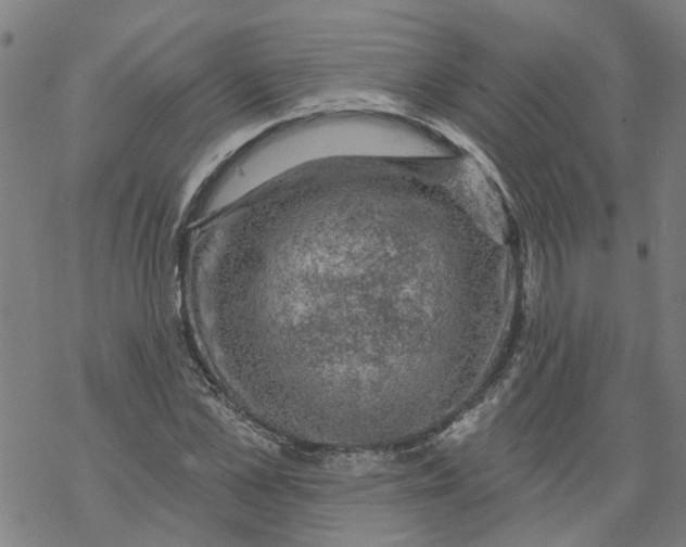 X0000068890973200605261841