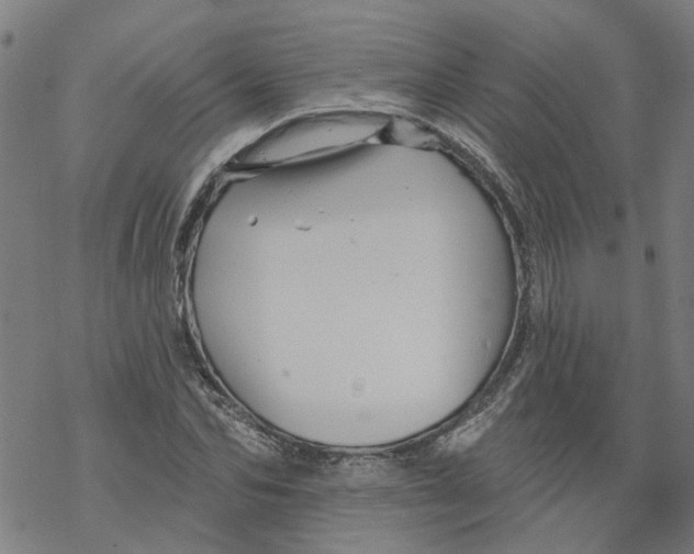 X0000068890974200605261841