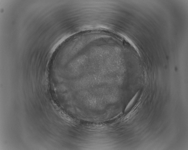 X0000068890975200605261841