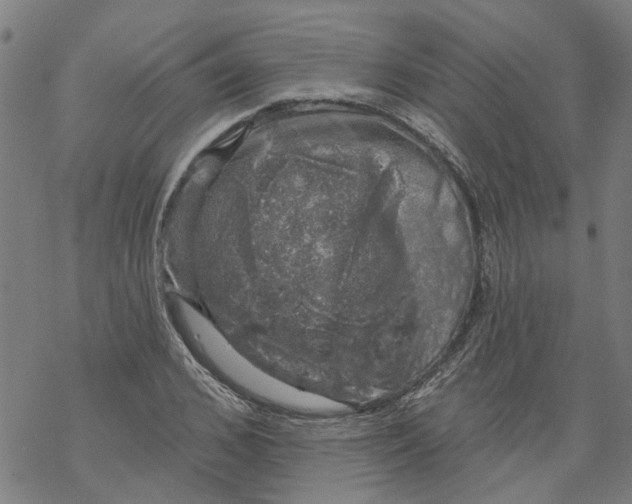 X0000068890976200605261841