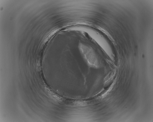 X0000068890977200605261841