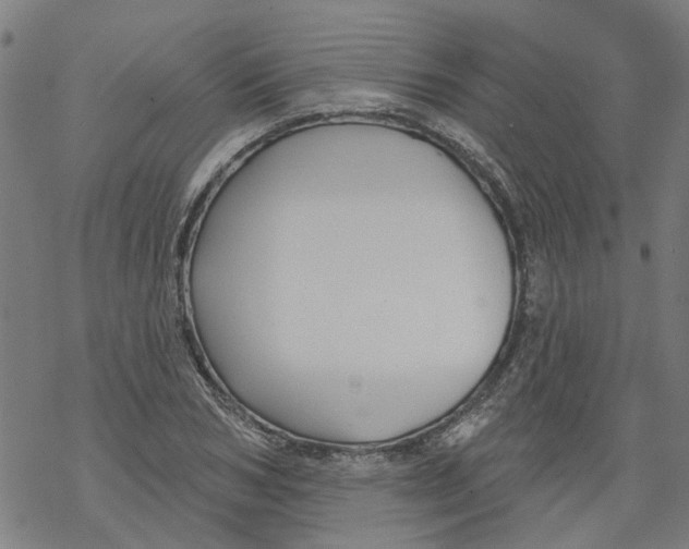 X0000068890978200605261841