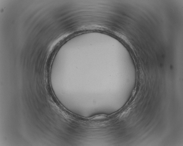 X0000068890979200605261841