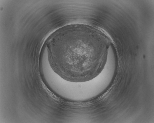 X0000068890980200605261841