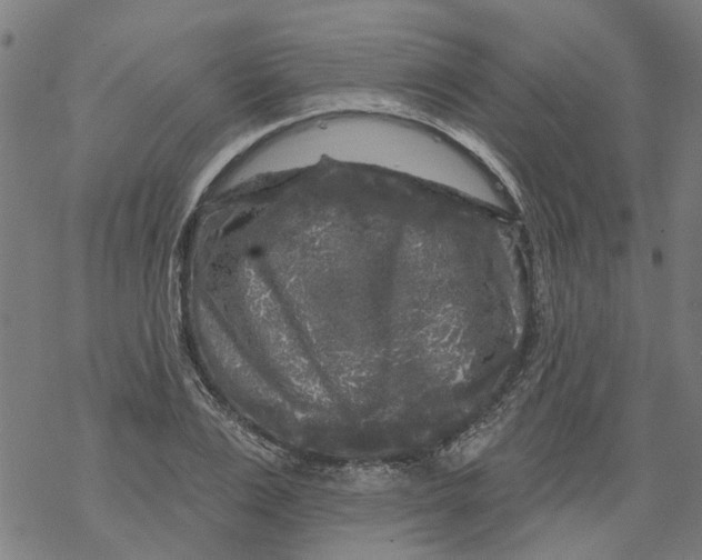 X0000068890983200605261841