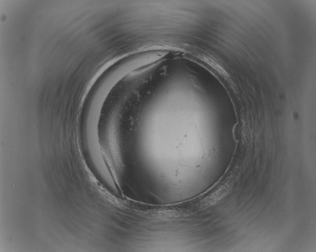 X0000068890984200605261841