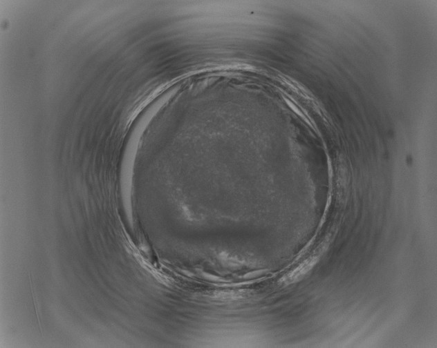 X0000068890985200605261841