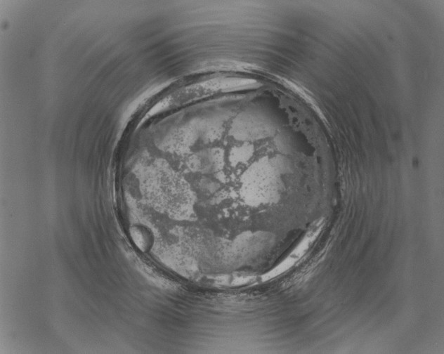 X0000068890987200605261841