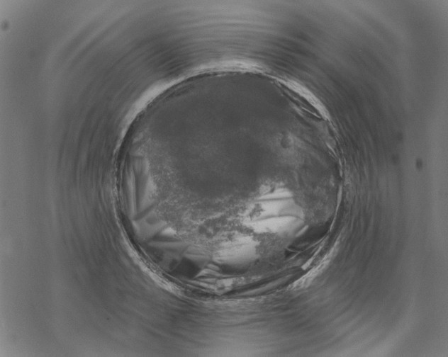 X0000068890989200605261841