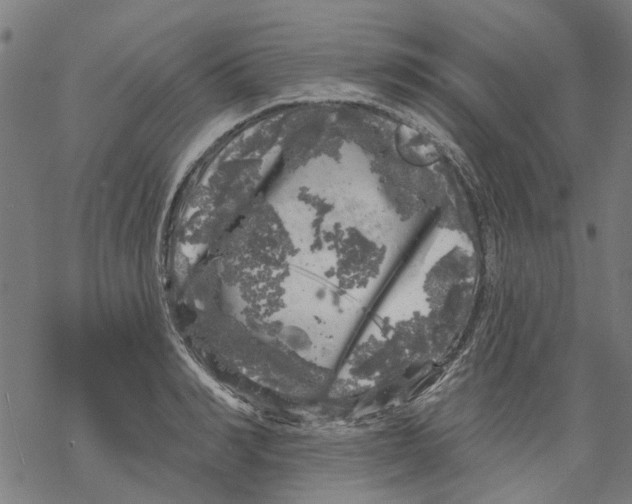 X0000068890990200605261841