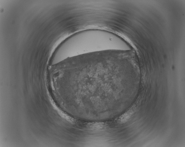 X0000068890991200605261841