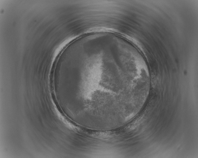 X0000068890995200605261841