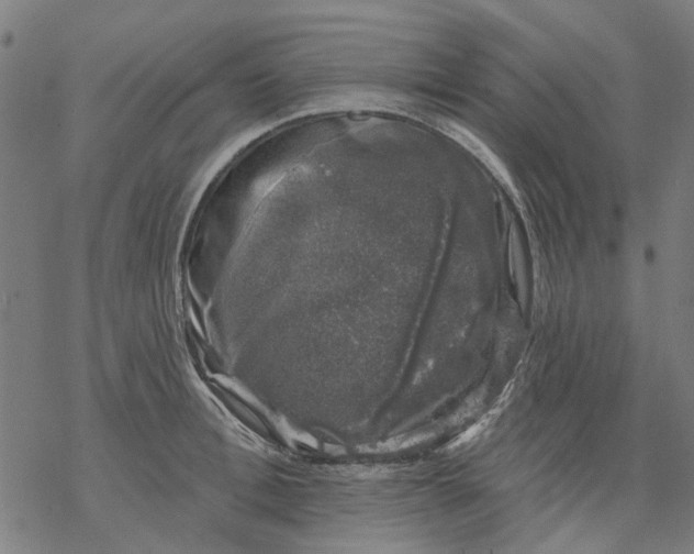 X0000068890996200605261841