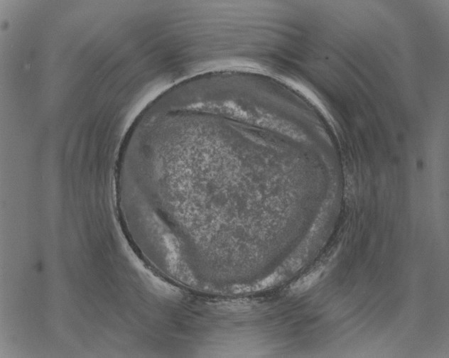 X0000068890999200605261841