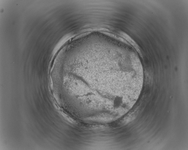 X0000068891002200605261841