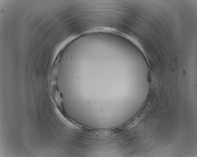 X0000068891003200605261841