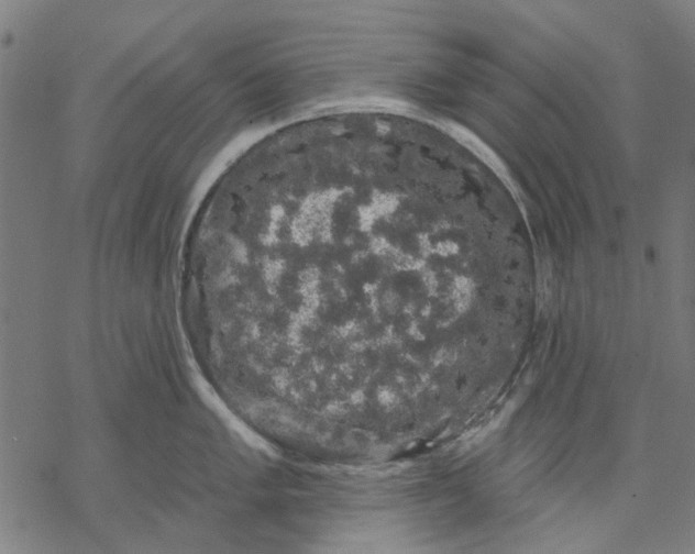 X0000068891005200605261841