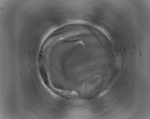 X0000068891007200605261841