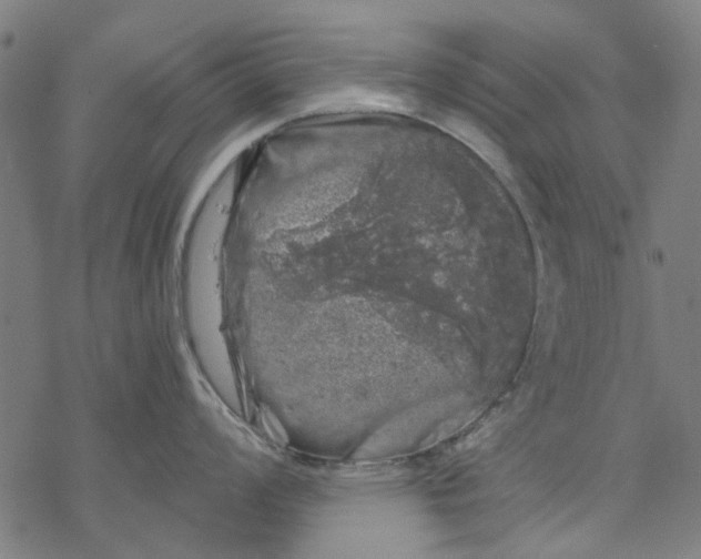 X0000068891008200605261841