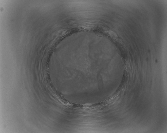 X0000068891009200605261840