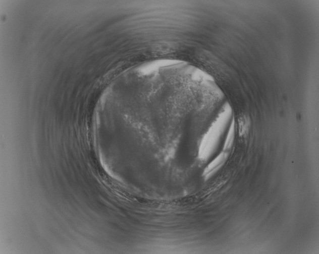 X0000068891011200605261840