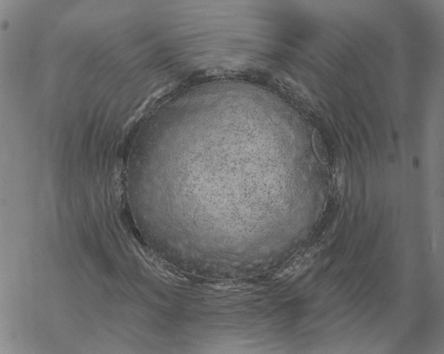 X0000068891012200605261840