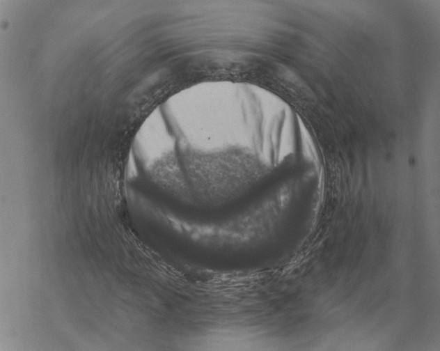 X0000068891013200605261840