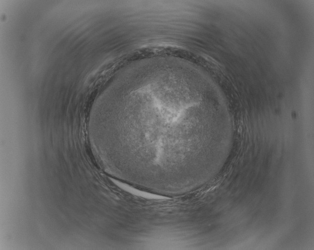 X0000068891014200605261840