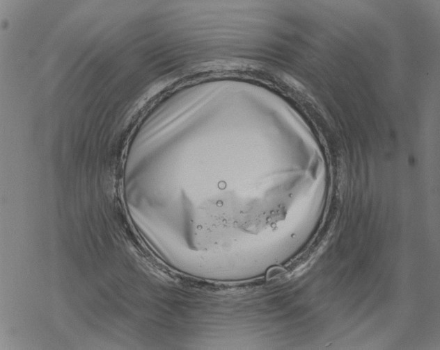 X0000068891017200605261840