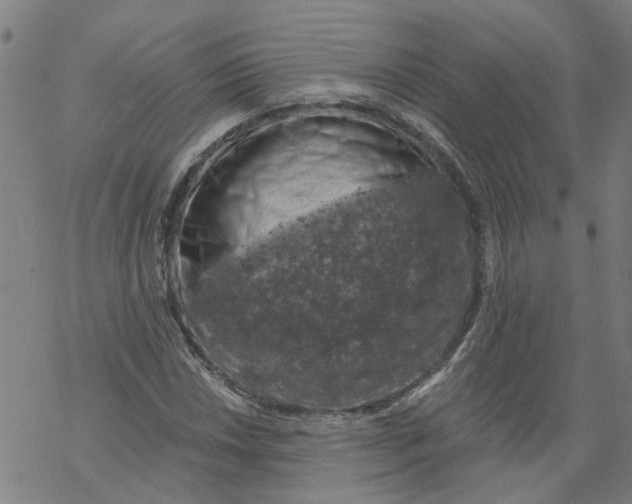 X0000068891018200605261840