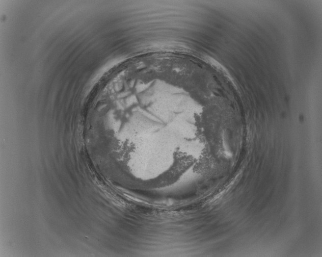 X0000068891019200605261840