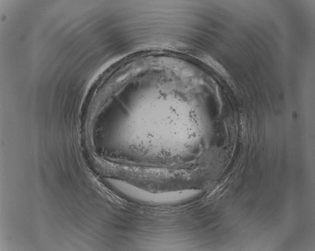 X0000068891020200605261840